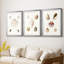 Pastel Knorr Shells IV - impression encadrée sur mesure de qualité supérieure - 3 pièces
