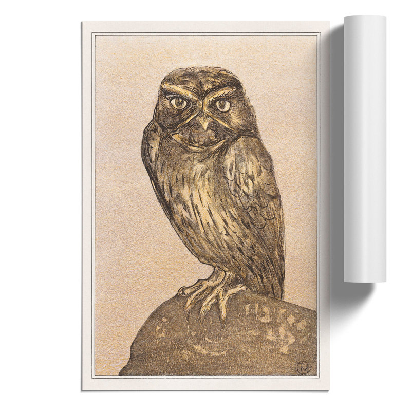 Little Owl by Theo van Hoytema - Frameless Print, 42cm H x 30cm W x 0.1cm D