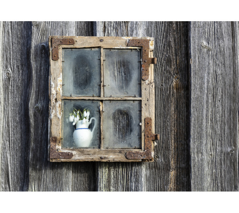 Wrapped Canvas Print, 60.96cm H x 91.44cm W