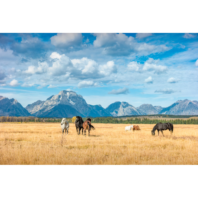 Horses Wyoming by Benedek - No Frame Print on Canvas, 20cm H x 30cm W