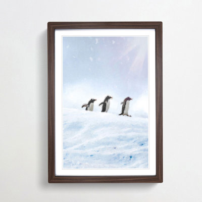 Three Penguins in the Antarctica - Framed Print