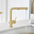 Linus Low Arc Pull-Out Dual-Spray Kitchen Faucet-66477604