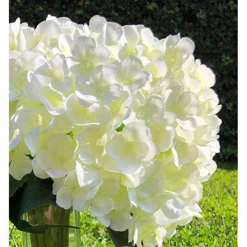 Arrangement floral dans un vase Youngsville Hydrangea