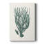Corail antique antique - galerie Cavas sur mesure-571555733