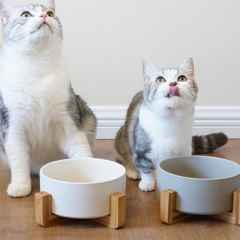 Bols en céramique pour chat avec support en bambou, bols anti-basculement pour animaux de compagnie et eau pour petits et moyens chats et chiens, convient aux moustaches, va au lave-vaisselle, plusieurs couleurs et tailles