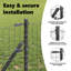 Galvanised Steel Border Fencing-490250455-490250453