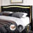 Areyon Upholstered Wingback Storage Bed-1745005804-1745005807