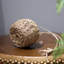 Pots de fleurs suspendus Panier de fleurs en rotin en osier pour panier suspendu-2038597983