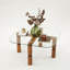 Glorias Coffee Table-106668551