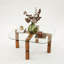 Table basse moderne avec plateau 100% verre trempé et structure 100% bois de hêtre, finition noyer, 31,5 po x 15,7 po x 31,5 po | Conception élégante et durable pour le salon et le salon, facile à nettoyer, élégance contemporaine-1838950618-1838950597