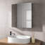 Courteny 600mm W 670mm H Wall Mounted Required Medicine Cabinet Mirror