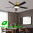 Wrought Studio™ 52 Inch Flush Mount Ceiling Fans With LED Lights-3928303