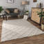 Fordwich Geometric Area Rug-1030564845