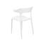 Aveya Dining Chair-74505853