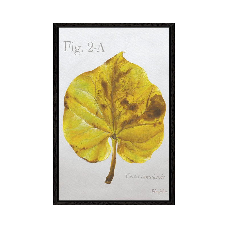 Autumn Leaves On Gray IV-Redbud 1 Piece Wall Art on Canvas, 66.04 cm H x 45.72 cm W, Black Framed