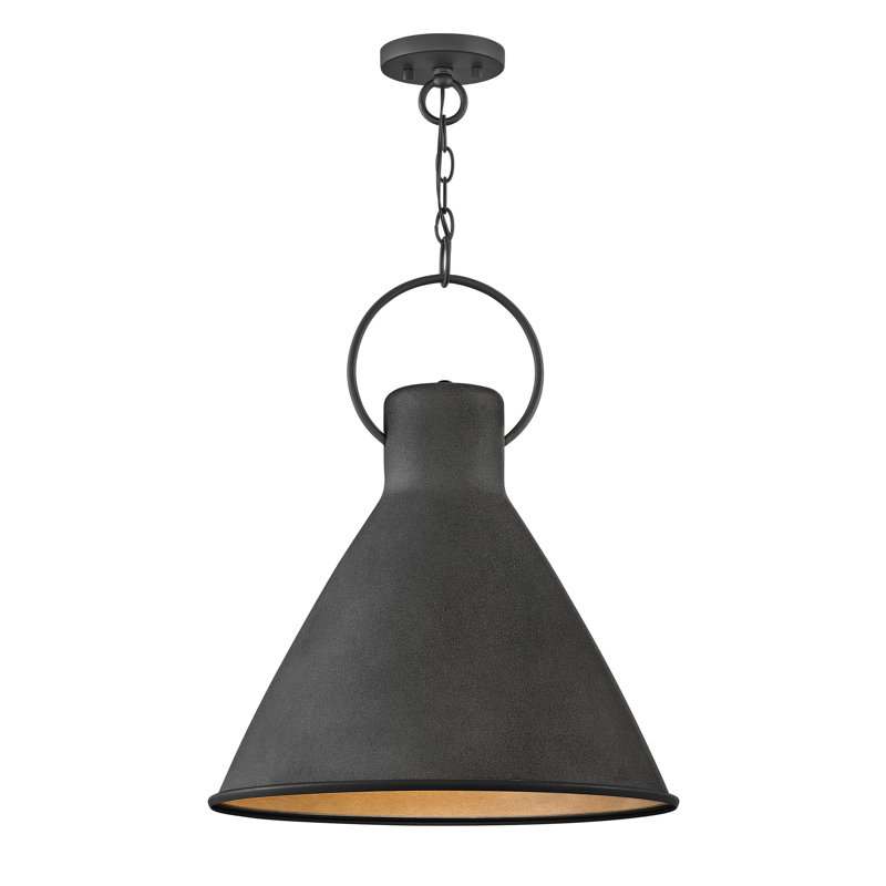 Luminaire suspendu conique à 1 lumière Dax, Zinc vieilli, H 21,5 po x l 18 po x P 18 po