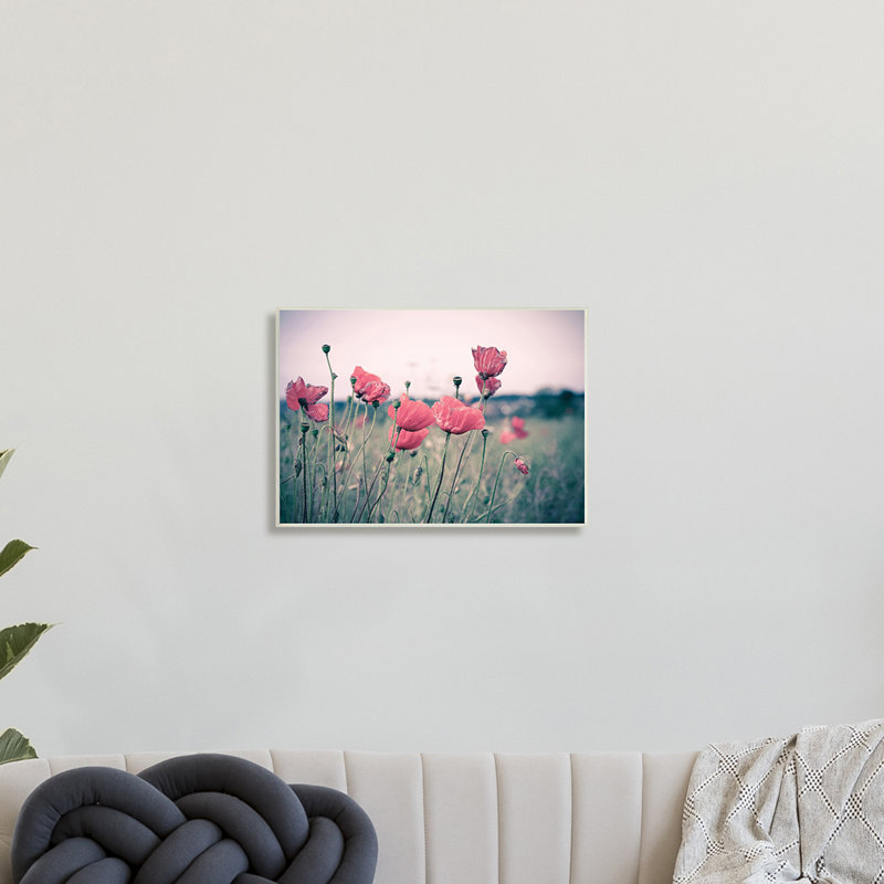 Champ de coquelicots d'automne - photographie, Plaque murale, H 10 po x l 15 po