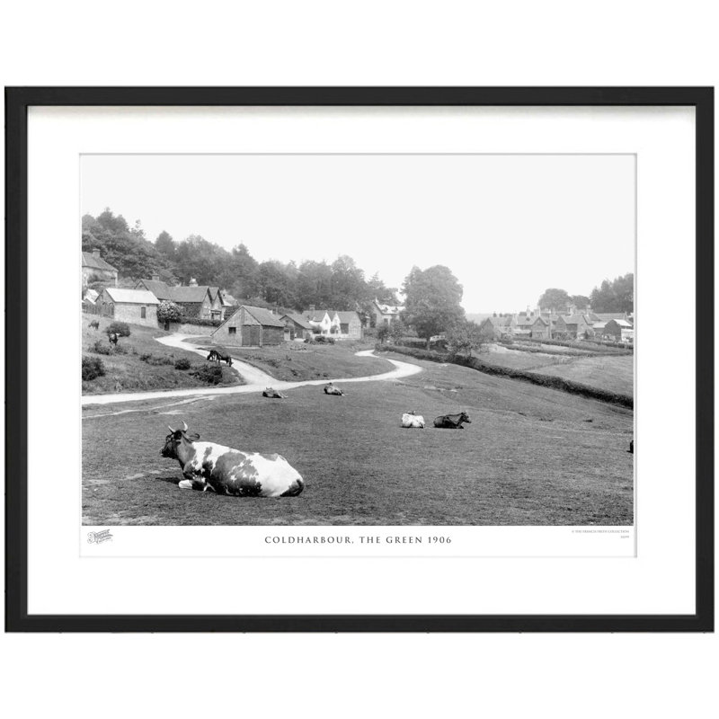 Coldharbour, The Green 1906 by Francis Frith - Single Picture Frame Print, 45cm H x 60cm W x 2.3cm D