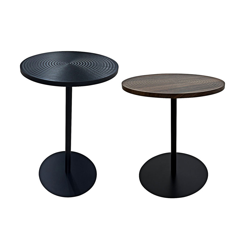 Ensemble de 2 petites tables d'appoint