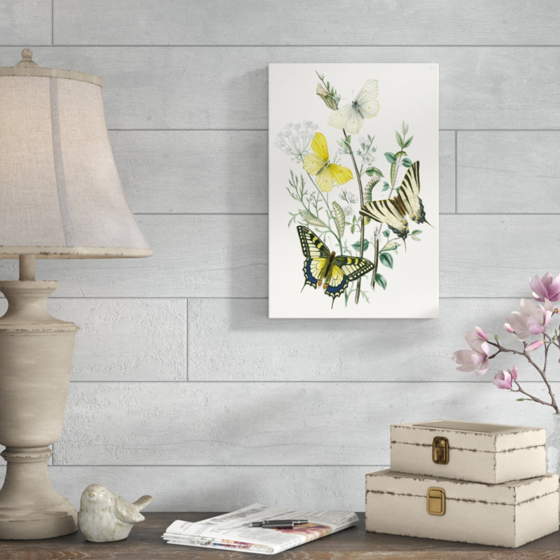 British Butterflies II - Painting on Canvas, 46cm H x 30cm W, Wrapped Canvas