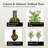Handmade Artificial 6.5' Enkianthus Tree with Real Wood