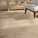 Evanoff Oriental Beige Area Rug