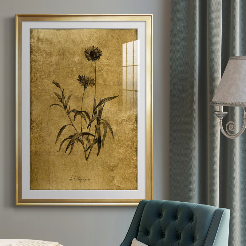 Croquis doré Botanique I - Cadre photo, reproduction d'art sur papier, H 36,5 po x l 26,5 po x P 1,5 po, Or