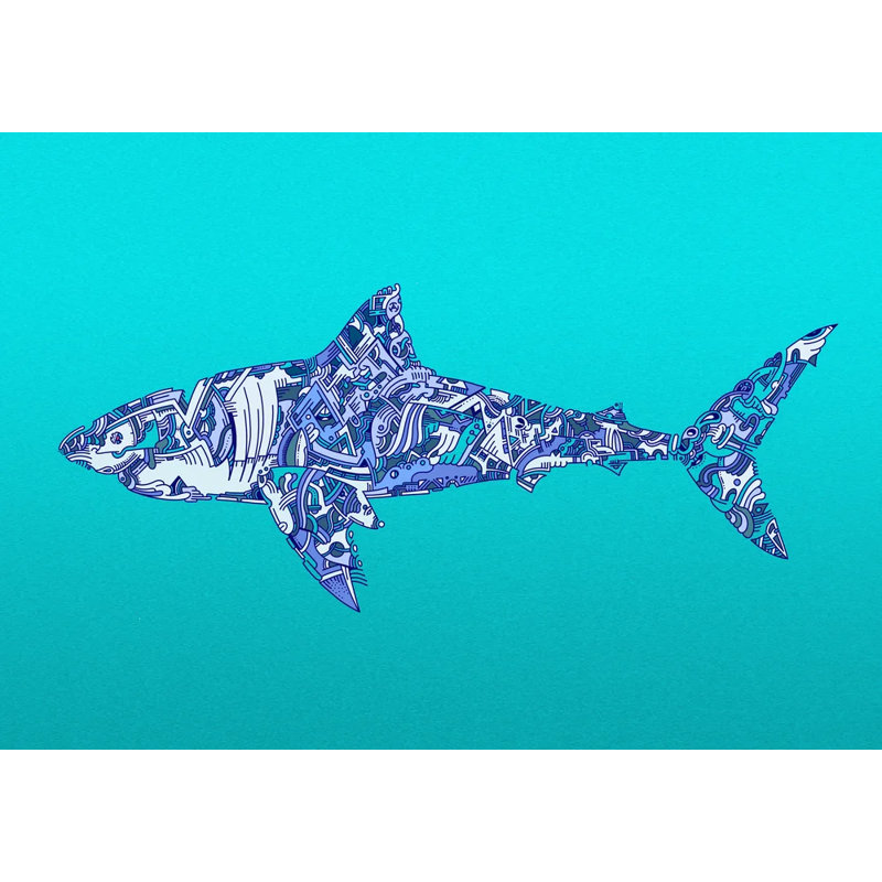 Shark