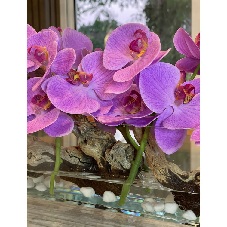 Orchid Floral Arrangement in Planter Primrue Flowers/Leaves Color: Purple