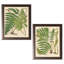 «Popular Old-Fashioned Fern Botanical», ensemble de 2 reproductions d'impressions-26198399-26198398
