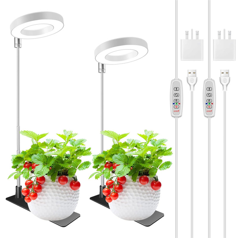 Naomi Grow Light