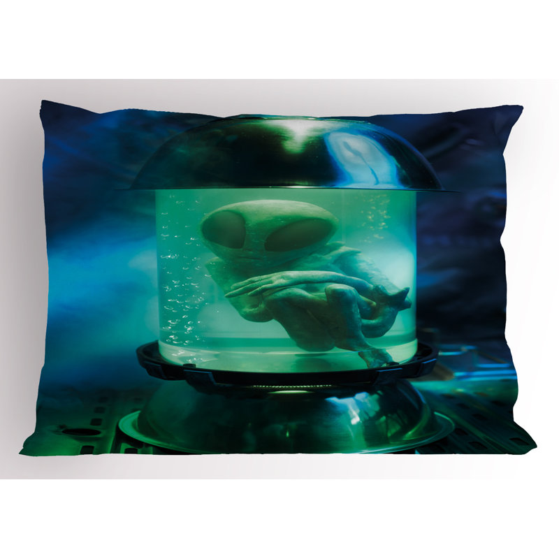 Ensemble de 2 taies décoratives Ambesonne UFO Alien, H 20 po x l 26 po
