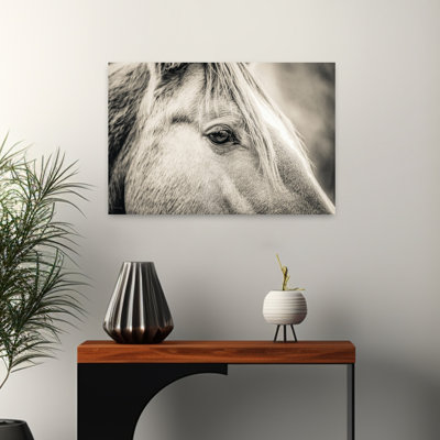 The Eyes Have It Contemporary Horse Art