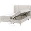 Upholstered Divan Bed-470207735-470207729
