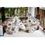  Housse et insert de coussin décoratif en polyester-1557759903-1557759890