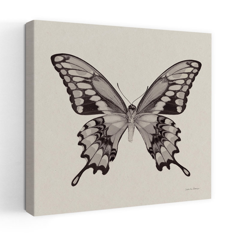 Papillon VI, art contemporain gris, H 18 po x l 18 po