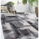 Alban Abstract Shag Charcoal Area Rug