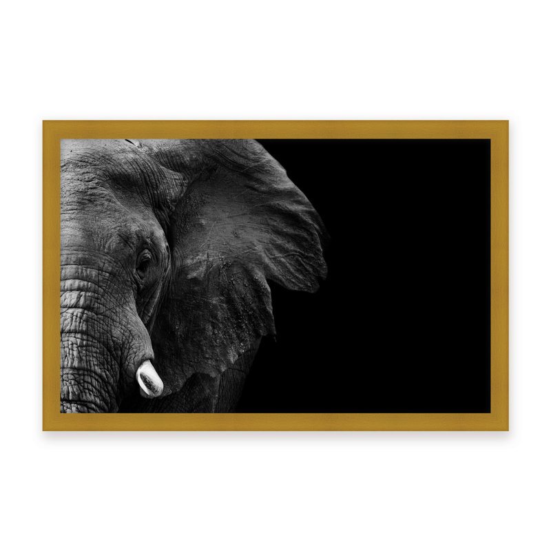 Nature Inspired Elephant by  - Picture Frame Photograph on Paper, 16" H x 24" W x 1.125" D, Framed Matted Print, Black