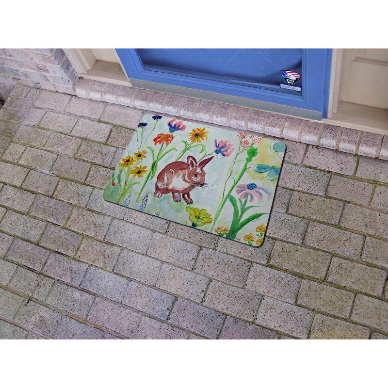 Tapis de porte intérieur antidérapant Whiskers, Rectangle 1 pi 6 po x 2 pi 2 po