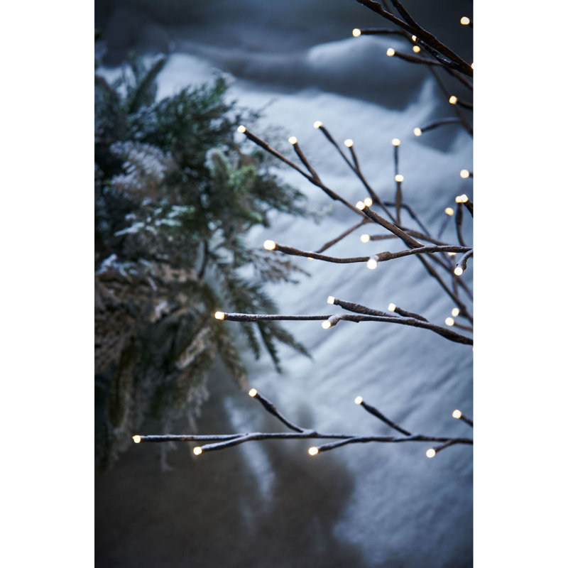 LED Twinkle Indoor / Outdoor Lighted Christmas Tree, 119.89cm H x 70.1cm W x 70.1cm D