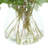 Olive Branches Arranged in a Glass Vase
