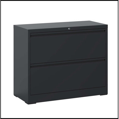 Metal Filing Cabinet with 2 Drawers
