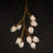 Dreanda 10 - Light Dimmable Novelty Chandelier-927971478