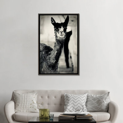 «Happy Alpaca in Black and White» par Susan Vizvary - reproduction de photo