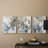 Aviary Study  Series  XIII  -Set Of 3 Framed Giclee Prints -Ready to Hang-107258131-107258135