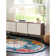 Oriental Indoor Rug
