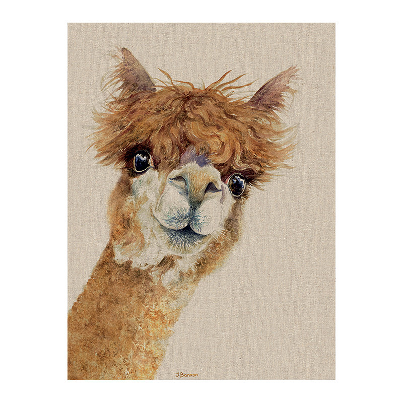 Jane Bannon - Wrapped Canvas Print, 50cm H x 40cm W