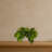 Pothos Artificial Plant in White Planter