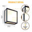 Matte Black Outdoor Sconce