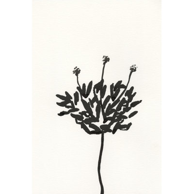 Ink Botanical Sketch III by J. Holland - Wrapped Canvas Painting